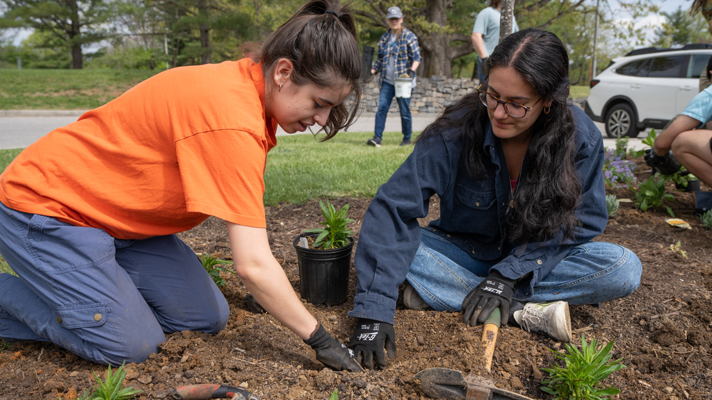 Pollinator garden generating a buzz on campus